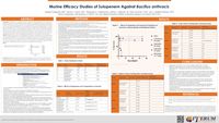 Murine Efficacy Studies of Sulopenem Against Bacillus anthracis