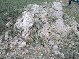 An image thumbnail for the following media post.