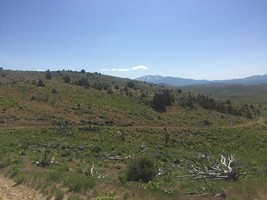 An image thumbnail for the following media post.