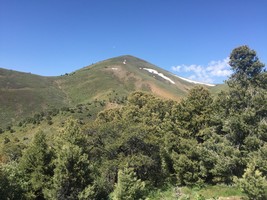 An image thumbnail for the following media post.