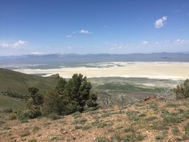 An image thumbnail for the following media post.