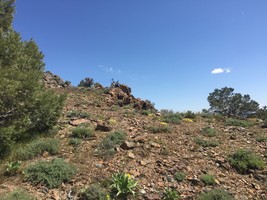 An image thumbnail for the following media post.