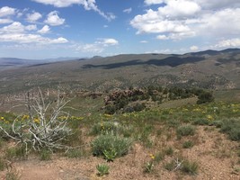 An image thumbnail for the following media post.