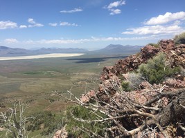 An image thumbnail for the following media post.