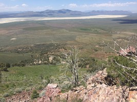 An image thumbnail for the following media post.