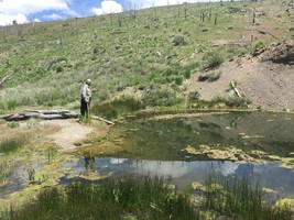 An image thumbnail for the following media post.