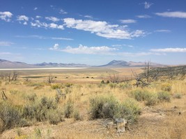 An image thumbnail for the following media post.