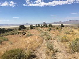 An image thumbnail for the following media post.