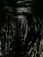 An image thumbnail for the following media post.