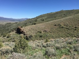 An image thumbnail for the following media post.