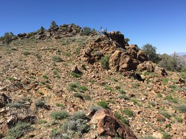 An image thumbnail for the following media post.