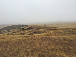 An image thumbnail for the following media post.