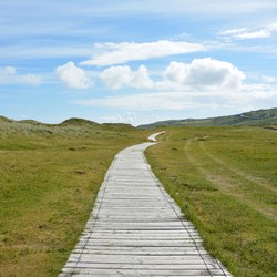 The Benefits of Nature for Your Mental Health