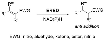 Codex ERED Screening Kit