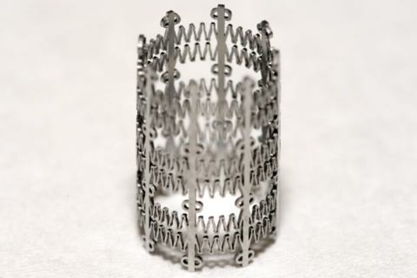 Close-up of Draper's heart valve stent