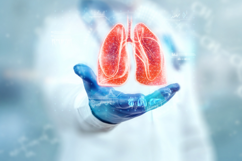 Draper’s PREDICT96-ALI (air-liquid-interface) platform accurately predicted the clinical efficacy of three SARS-CoV-2 therapeutics. Researchers can use the platform to rapidly test drug candidates across diverse patient populations simultaneously. Credit: Shutterstock.