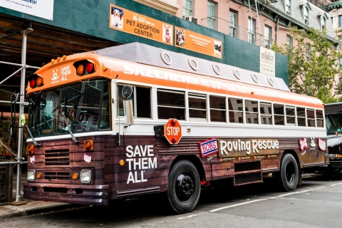 BOBS from SKECHERS Roving Rescue Bus Arrives in New York City
