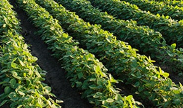 For farmers who identify land they want to farm, but not own: