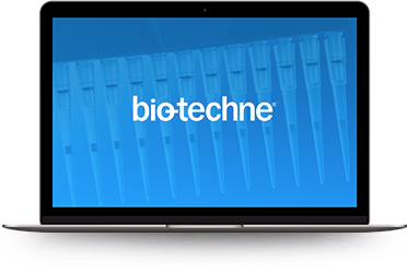 Investor Presentation