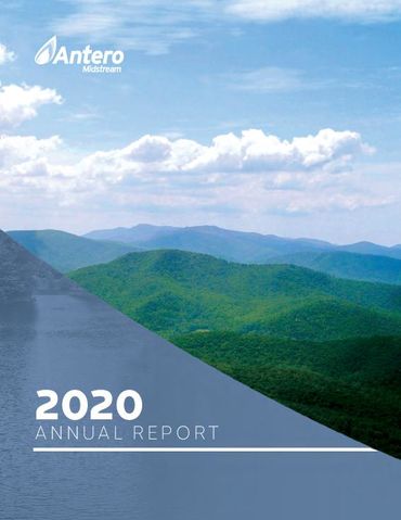 2020 Annual Report