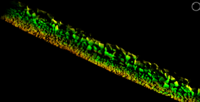 Content for Breakwater Construction and Management page