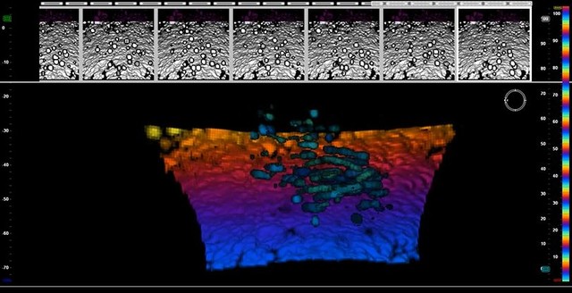 Content for Fisheries page