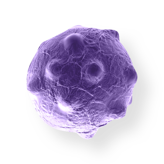 Tuspetinib (HM43239) for Myeloid Tumors