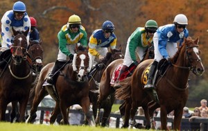 Far Hills Race Meeting