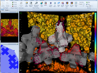 CodaOctopus Releases its New Real Time 3D Underwater Construction Software