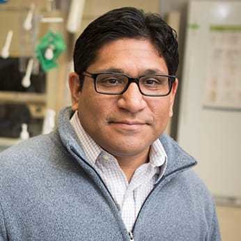 Marco Davila, MD, Ph.D.