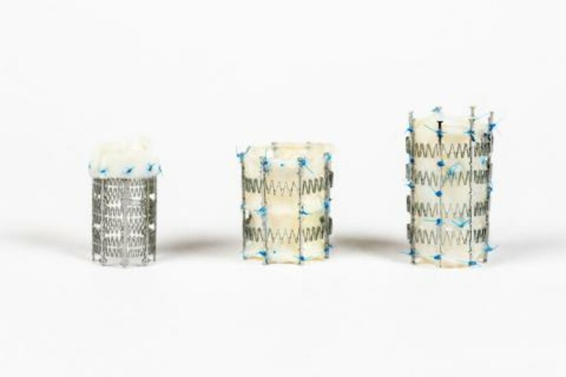 Three heart valve stents from Draper