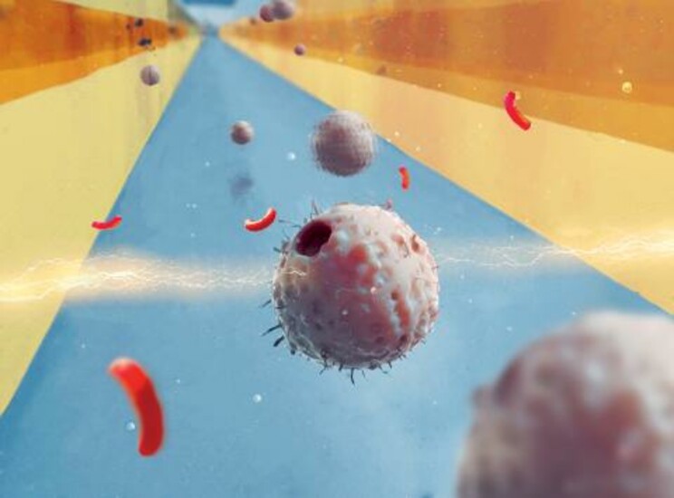 Illustration of cells and particles representing automated cellular therapy manufacturing for CAR T-cell therapy.