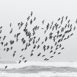 The Great Talent Migration of 2021