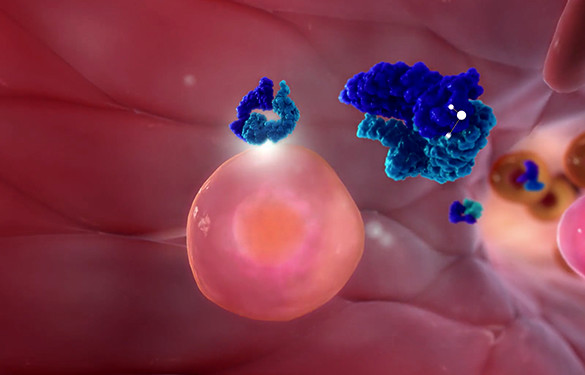 <p>Increasing the expression of the protein responsible for cell-to-cell contact</p>
