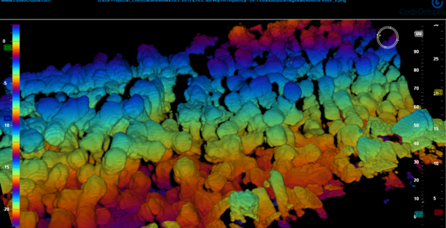 Content for Breakwater Construction and Management page