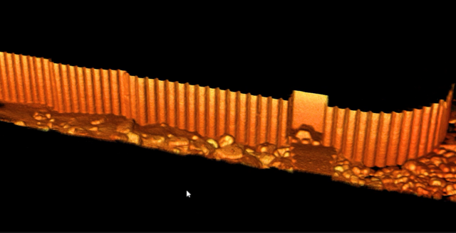 Content for Critical Asset Inspection page