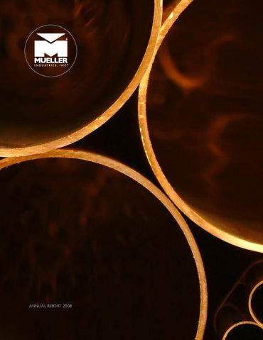 2008 Annual Report