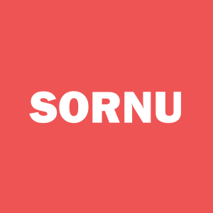 SOREN ACQUISITION CORP (SORNU)