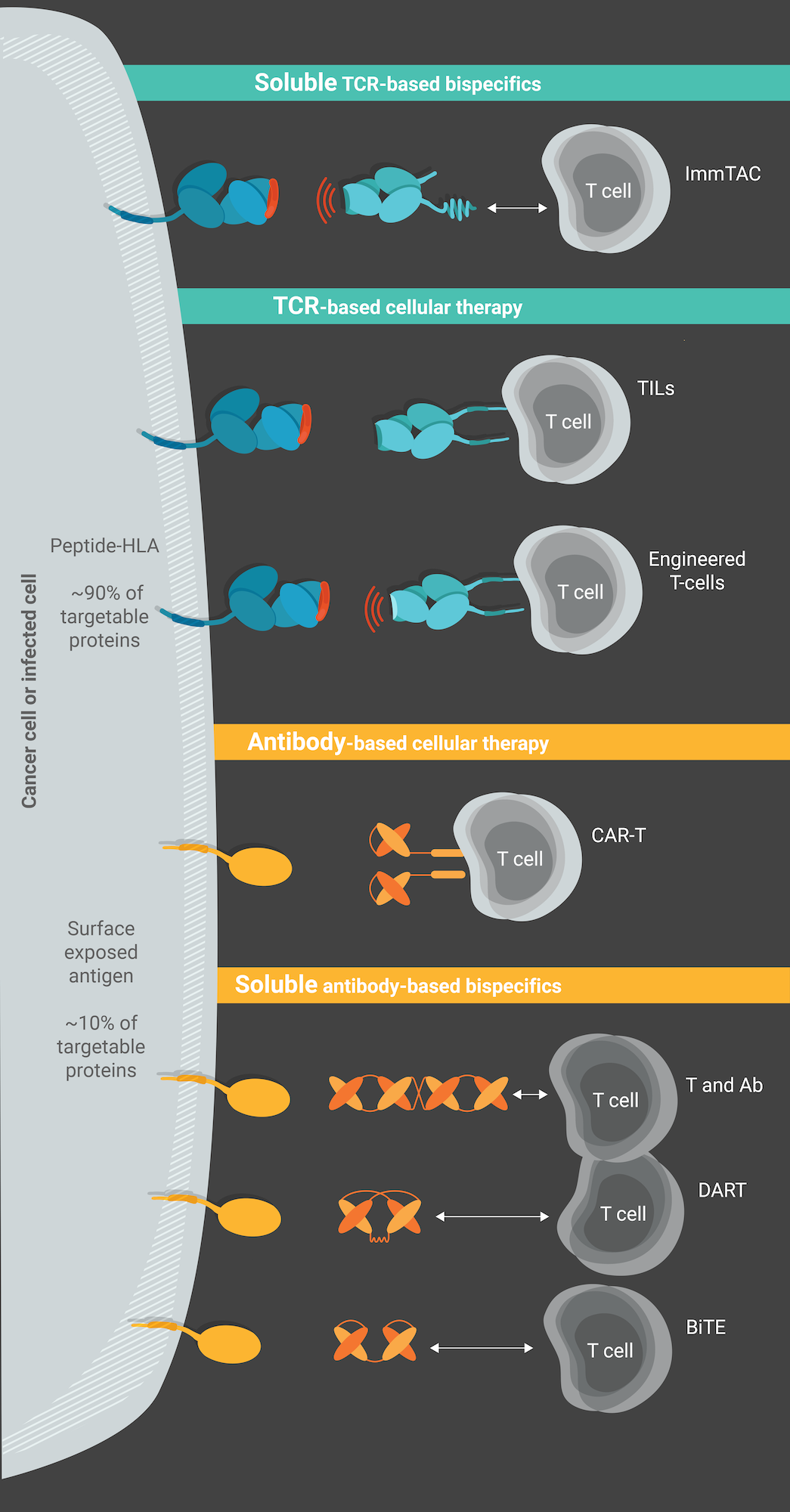 Immunocore_Therapy-comparison-graphic-01.png
