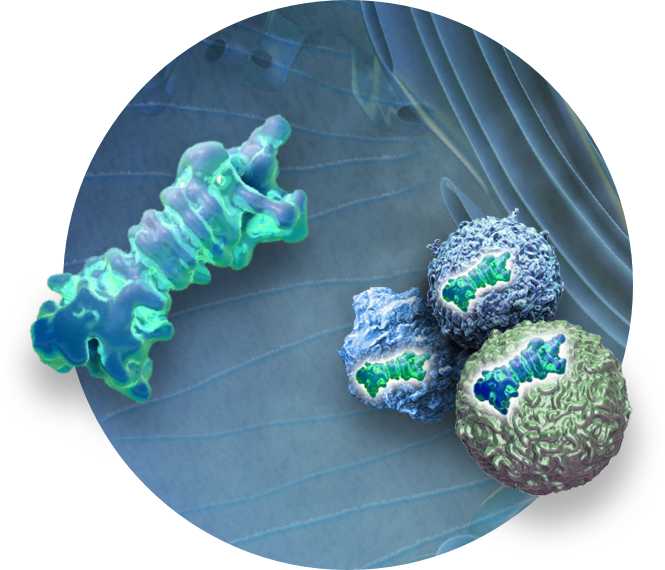 Pipeline Kezar Life Sciences, Inc. (KZR)