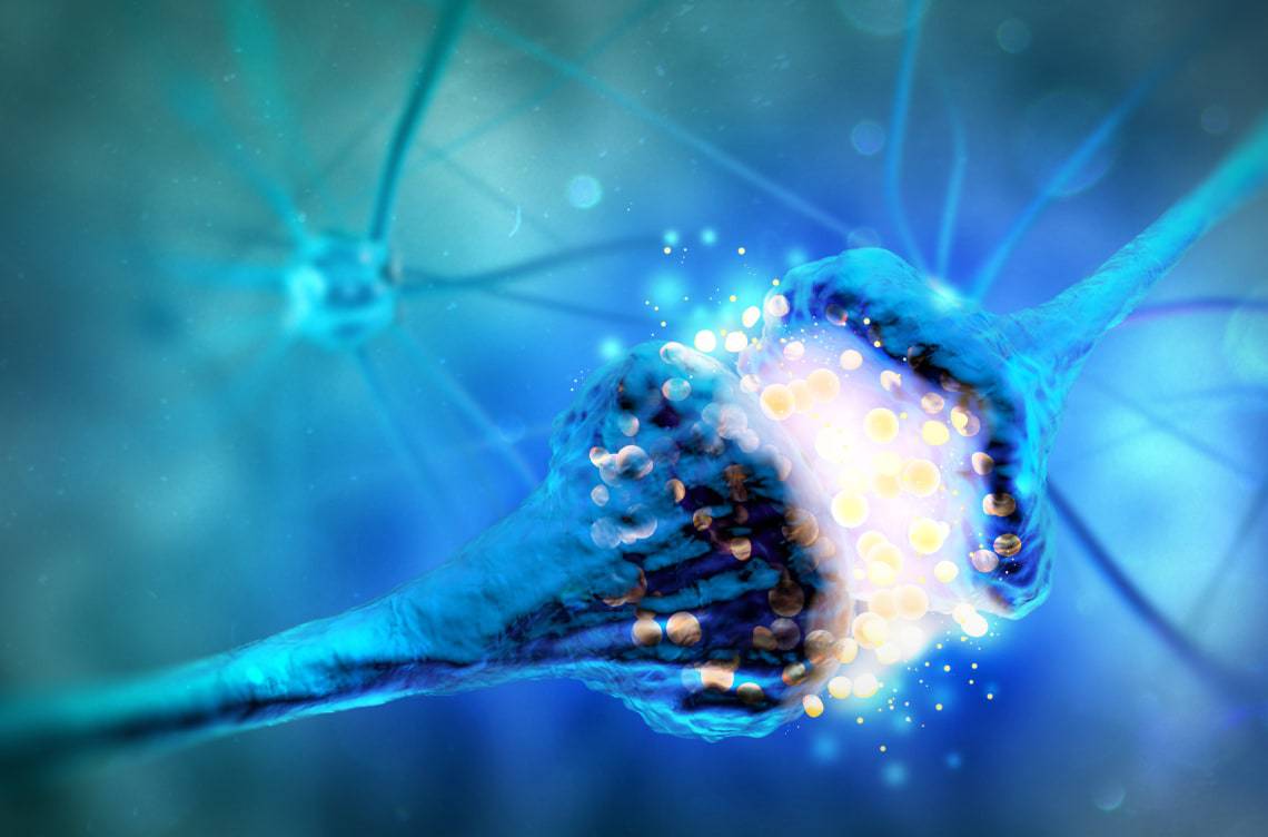 RAMP™ Drug Innovation Engine :: Inhibikase Therapeutics, Inc. (IKT)
