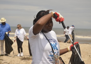 Adopt a Beach
