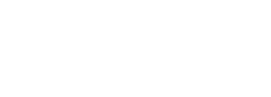 Janus International Group Logo Janus International Group Logo