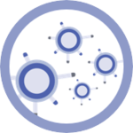 Module Image