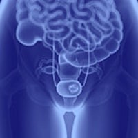 Urothelial