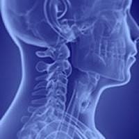 Head and Neck