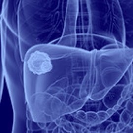 Liver