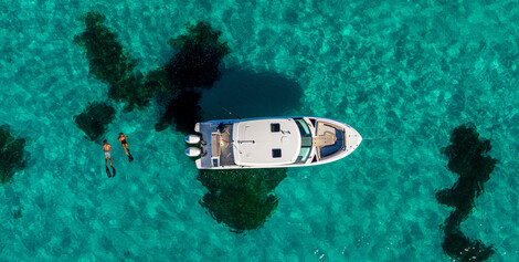 Brad Zoelle Named President of Boston Whaler Aligning the Brand for Next Phase of Growth