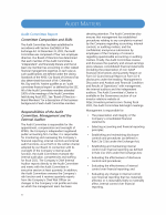 Audit Committee Report