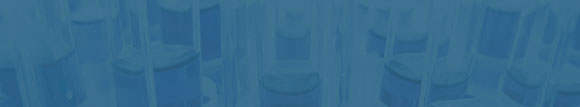 Investor information